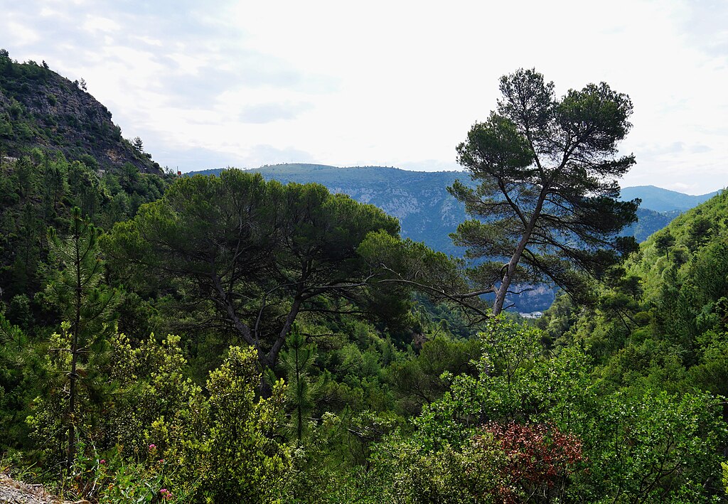 Entretien pompe à chaleur Alpes-Maritimes