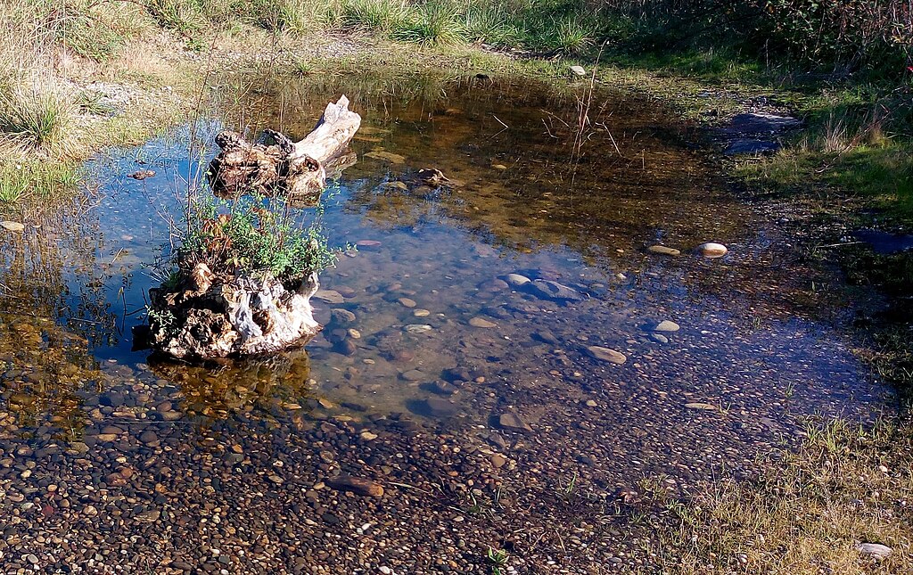 Entretien pompe à chaleur Wittenheim