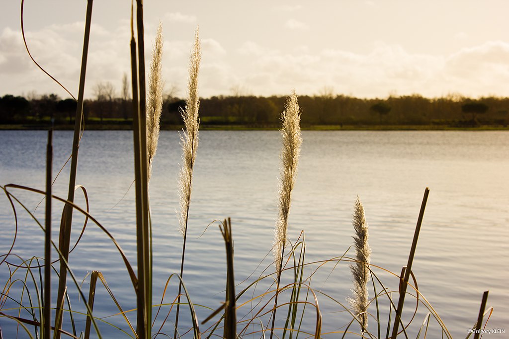 Entretien pompe à chaleur Tournefeuille