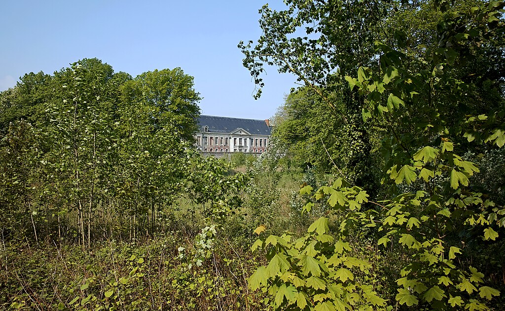 Entretien pompe à chaleur Loos